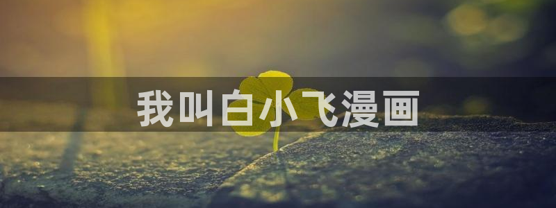 汗汗漫画在线观看免费版：我叫白小飞漫画