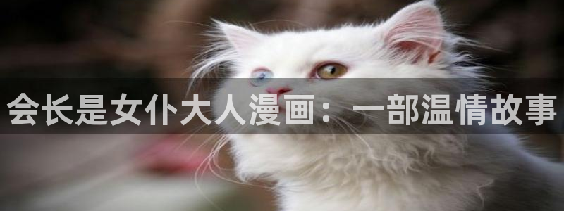 汗汗漫画52：会长是女仆大人漫画：一部温情故事