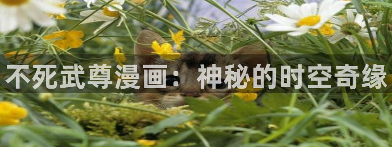 汗汗漫画歪歪：不死武尊漫画：神秘的时空奇缘
