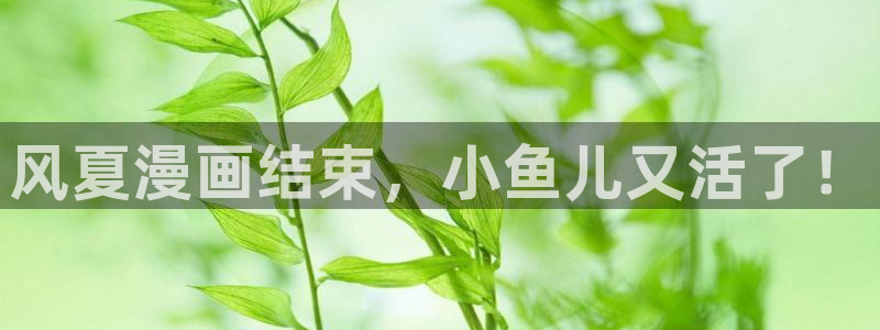 汗汗漫画――歪歪漫画51：风夏漫画结束，小鱼儿又活了！
