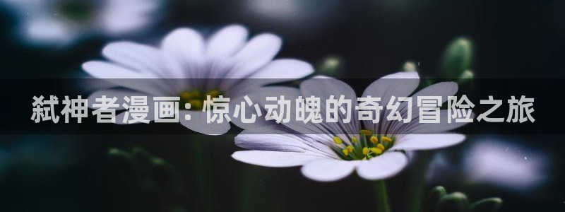 汗汗漫画――歪歪漫画：弑神者漫画: 惊心动魄的奇幻冒险之旅