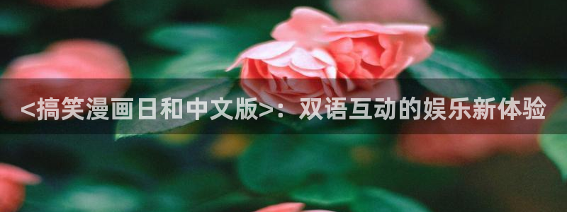 汗汗漫画漫画：<搞笑漫画日和中文版>：双语互动的娱乐新体验