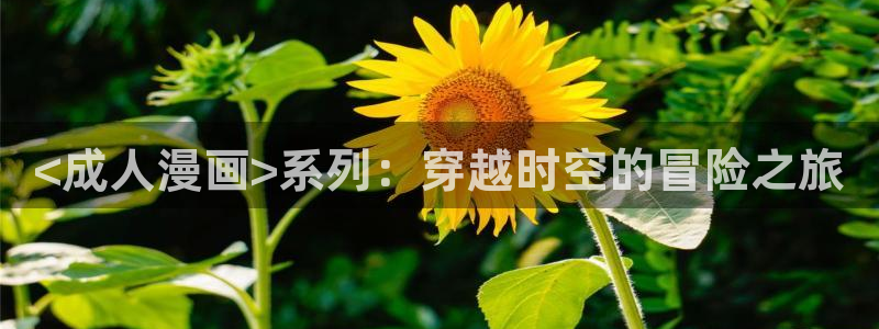 汗汗漫画网站免费