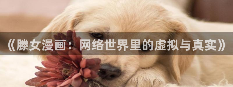 汗汗漫画在哪可以看