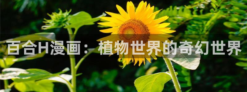 汗汗漫画地址