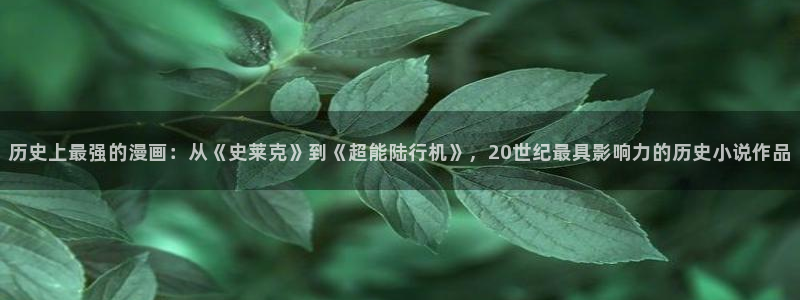 汗汗漫画网页入口：历史上最强的漫画：从《史莱克》到《超能陆行机》，20世纪最具影响力的历史小说作品