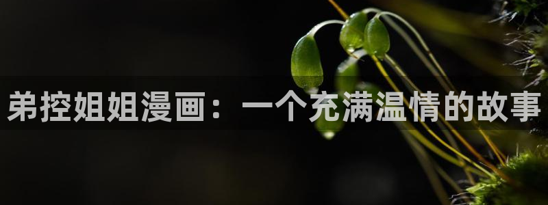 汗汗漫画首页登录入口：弟控姐姐漫画：一个充满温情的故事